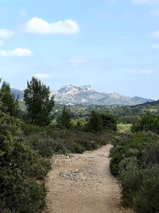 Вилла La Pitchoune : Gite Aux Pieds Des Alpilles Мурьес Экстерьер фото