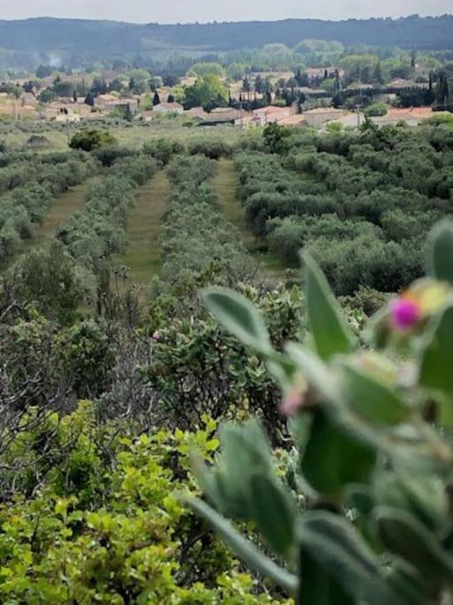 Вилла La Pitchoune : Gite Aux Pieds Des Alpilles Мурьес Экстерьер фото